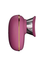Vacuum & Clitoral Licking