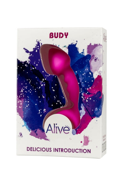Budy